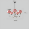 Lustre Suspension Rose