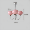 Lustre Suspension Rose