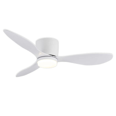 Lustre Ventilateur Avec Telecommande